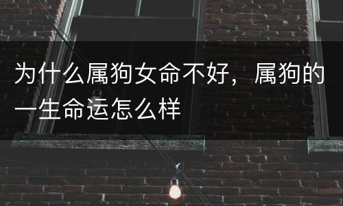 为什么属狗女命不好，属狗的一生命运怎么样