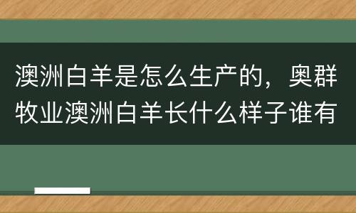 澳洲白羊是怎么生产的，奥群牧业澳洲白羊长什么样子谁有照片让我看看呗、拜