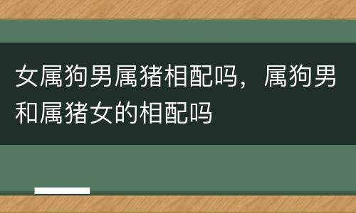 女属狗男属猪相配吗，属狗男和属猪女的相配吗