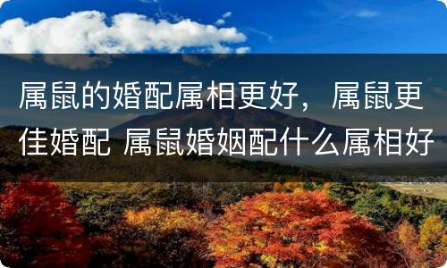 属鼠的婚配属相更好，属鼠更佳婚配 属鼠婚姻配什么属相好