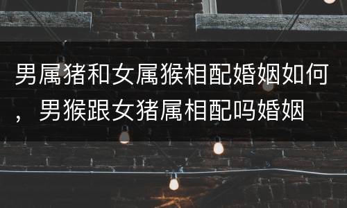 男属猪和女属猴相配婚姻如何，男猴跟女猪属相配吗婚姻