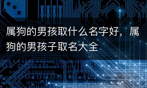 属狗的男孩取什么名字好，属狗的男孩子取名大全