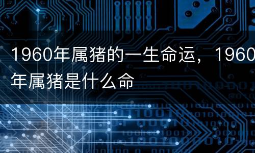 1960年属猪的一生命运，1960年属猪是什么命