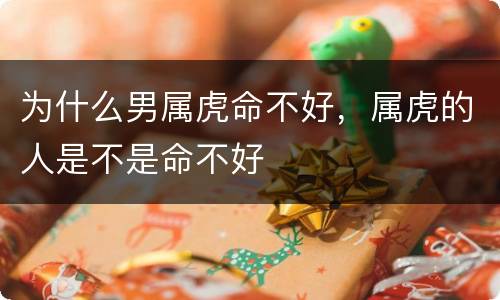 为什么男属虎命不好，属虎的人是不是命不好