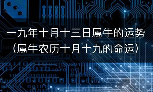 一九年十月十三日属牛的运势（属牛农历十月十九的命运）