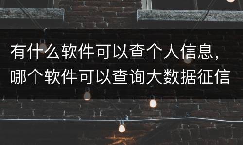 有什么软件可以查个人信息，哪个软件可以查询大数据征信
