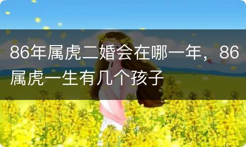 86年属虎二婚会在哪一年，86属虎一生有几个孩子
