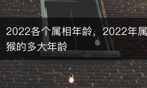 2022各个属相年龄，2022年属猴的多大年龄
