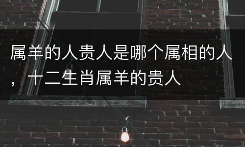 属羊的人贵人是哪个属相的人，十二生肖属羊的贵人