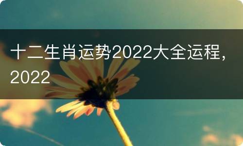 十二生肖运势2022大全运程，2022