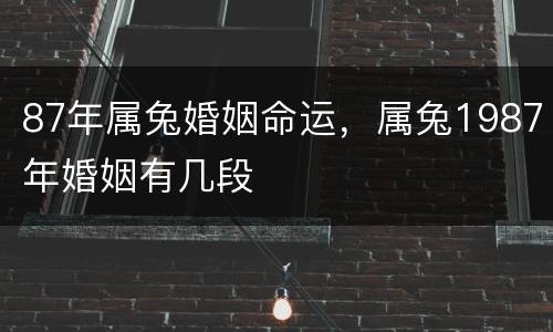 87年属兔婚姻命运，属兔1987年婚姻有几段