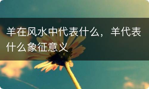 羊在风水中代表什么，羊代表什么象征意义