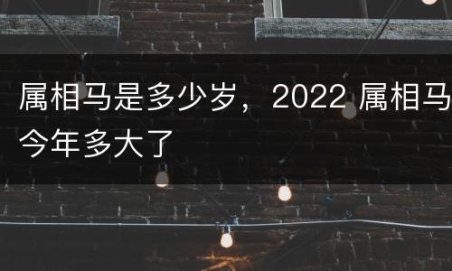 属相马是多少岁，2022 属相马今年多大了