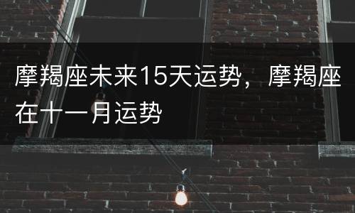 摩羯座未来15天运势，摩羯座在十一月运势