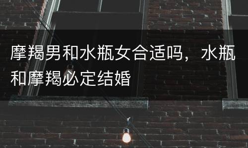 摩羯男和水瓶女合适吗，水瓶和摩羯必定结婚