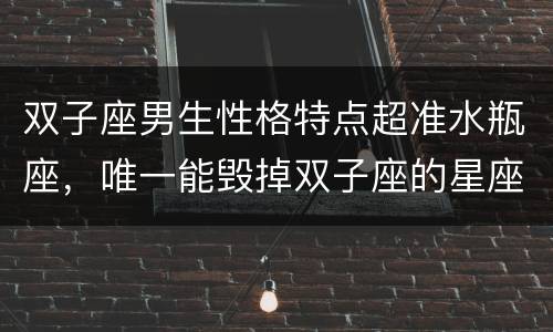 双子座男生性格特点超准水瓶座，唯一能毁掉双子座的星座