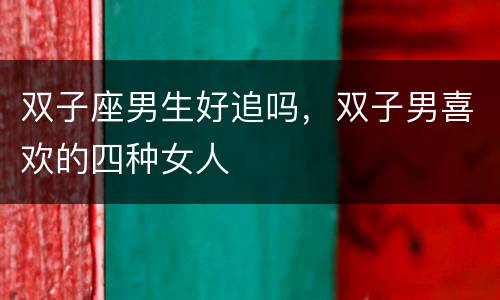 双子座男生好追吗，双子男喜欢的四种女人