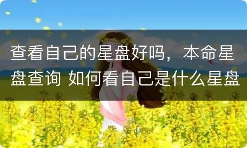 查看自己的星盘好吗，本命星盘查询 如何看自己是什么星盘