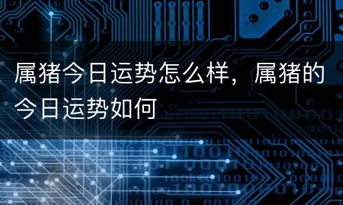 属猪今日运势怎么样，属猪的今日运势如何