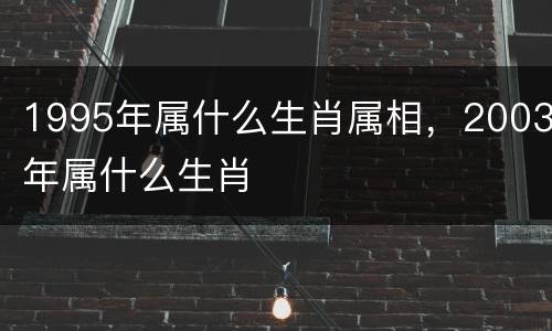 1995年属什么生肖属相，2003年属什么生肖