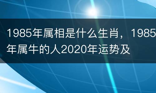 1985年属相是什么生肖，1985年属牛的人2020年运势及