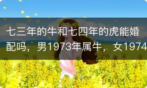 七三年的牛和七四年的虎能婚配吗，男1973年属牛，女1974年属虎相配