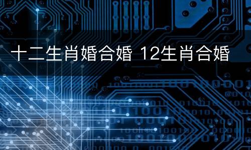 十二生肖婚合婚 12生肖合婚