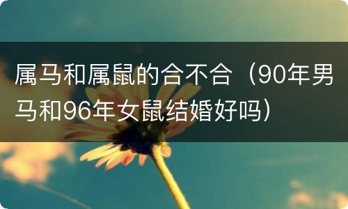 属马和属鼠的合不合（90年男马和96年女鼠结婚好吗）