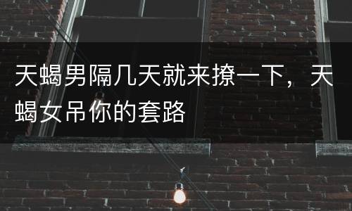 天蝎男隔几天就来撩一下，天蝎女吊你的套路