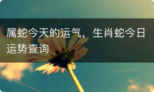 属蛇今天的运气，生肖蛇今日运势查询