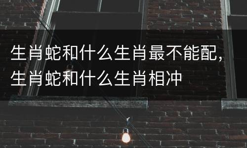 生肖蛇和什么生肖最不能配，生肖蛇和什么生肖相冲