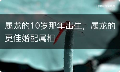 属龙的10岁那年出生，属龙的更佳婚配属相