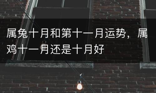 属兔十月和第十一月运势，属鸡十一月还是十月好