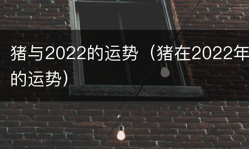 猪与2022的运势（猪在2022年的运势）