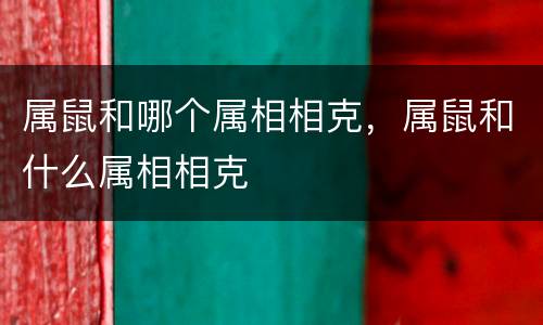 属鼠和哪个属相相克，属鼠和什么属相相克