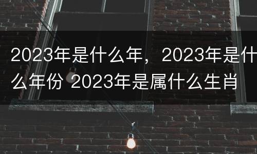 2023年是什么年，2023年是什么年份 2023年是属什么生肖