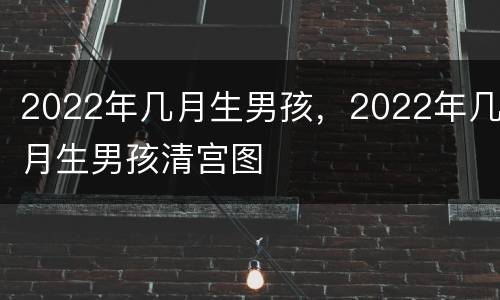 2022年几月生男孩，2022年几月生男孩清宫图