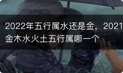 2022年五行属水还是金，2021金木水火土五行属哪一个