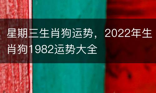 星期三生肖狗运势，2022年生肖狗1982运势大全