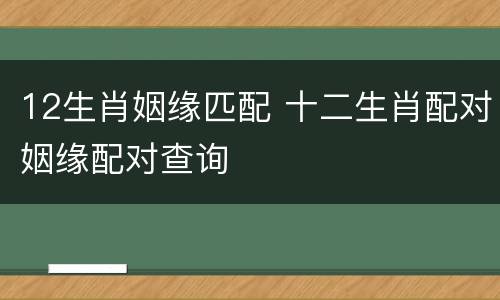 12生肖姻缘匹配 十二生肖配对姻缘配对查询