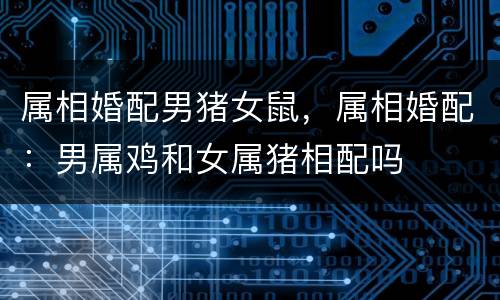 属相婚配男猪女鼠，属相婚配：男属鸡和女属猪相配吗