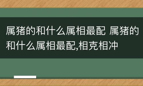 属猪的和什么属相最配 属猪的和什么属相最配,相克相冲