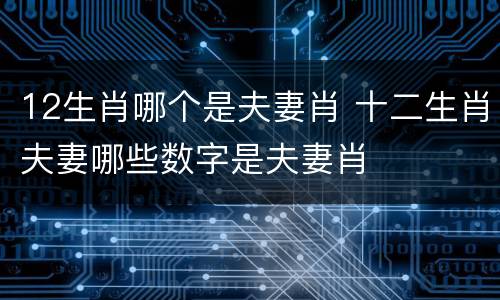 12生肖哪个是夫妻肖 十二生肖夫妻哪些数字是夫妻肖