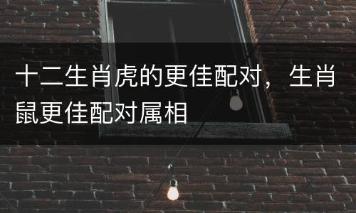 十二生肖虎的更佳配对，生肖鼠更佳配对属相