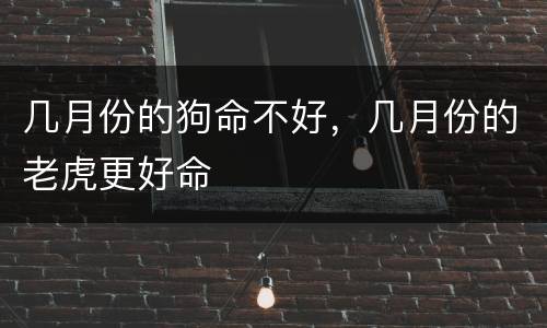 几月份的狗命不好，几月份的老虎更好命