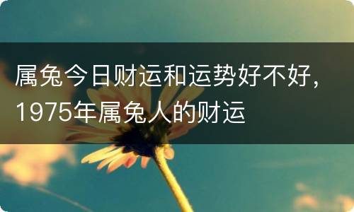 属兔今日财运和运势好不好，1975年属兔人的财运