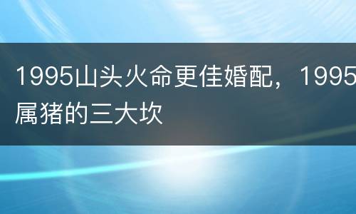 1995山头火命更佳婚配，1995属猪的三大坎