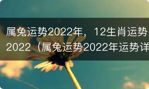 属兔运势2022年，12生肖运势2022（属兔运势2022年运势详解）