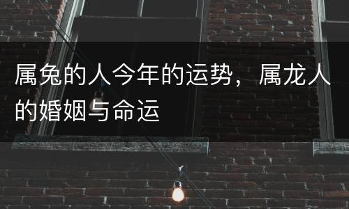 属兔的人今年的运势，属龙人的婚姻与命运
