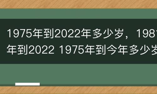 1975年到2022年多少岁，1981年到2022 1975年到今年多少岁